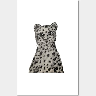 Leopard in Charcoal Posters and Art